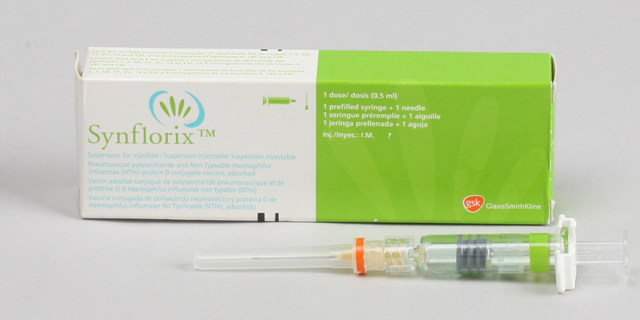 신플로릭스 프리필드 주 [0.5ml] ( Synflorix pfs inj [0.5ml]) | 의약품정보 | 의료정보 | 건강정보 ...